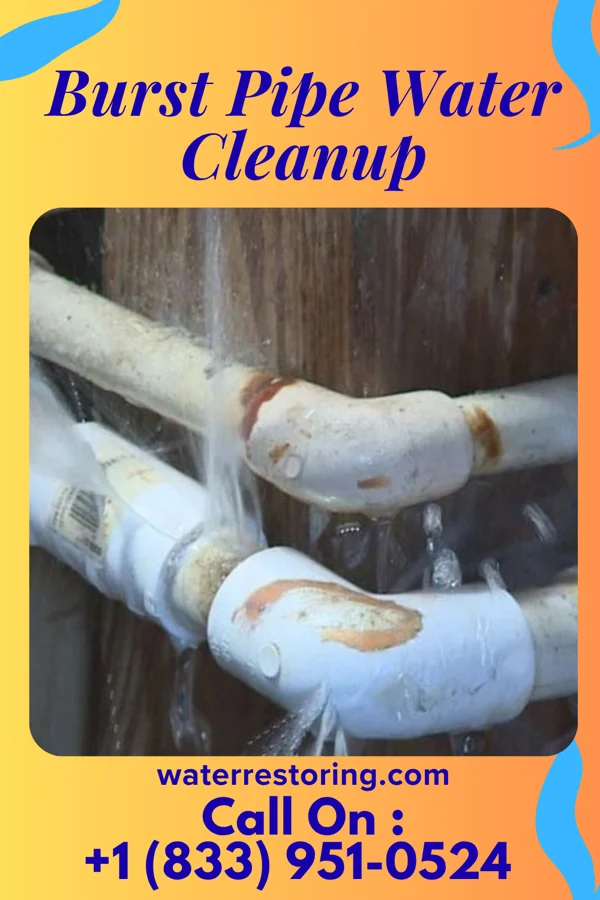 Burst Pipe Water Cleanup in Miami, MO