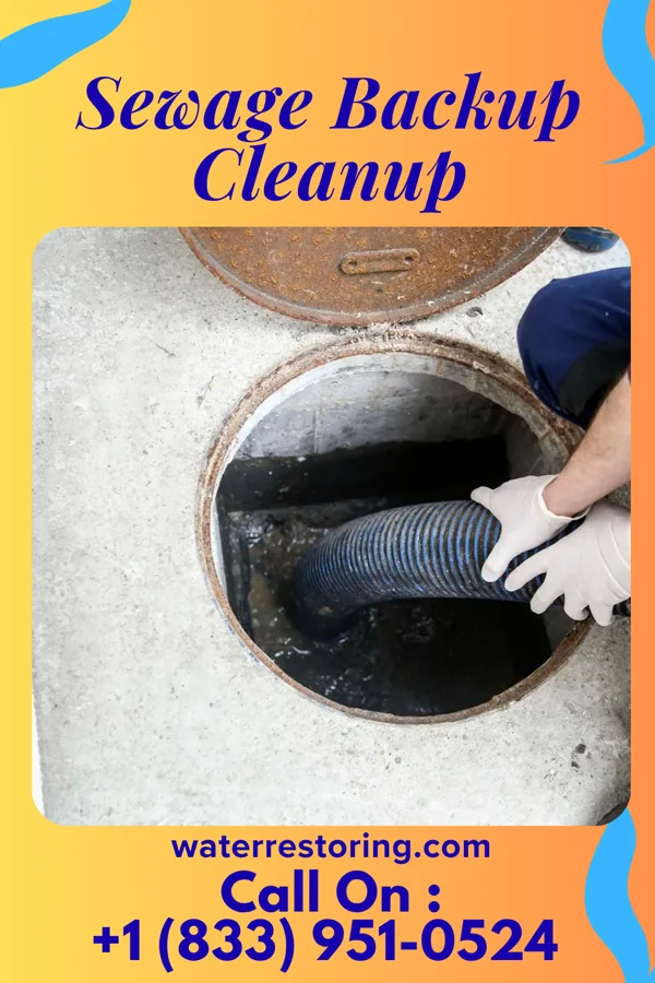 Sewage Backup Cleanup in Miami, MO
